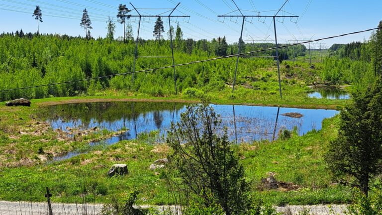 Metsägroup supports the Finnish Game Management Foundation!