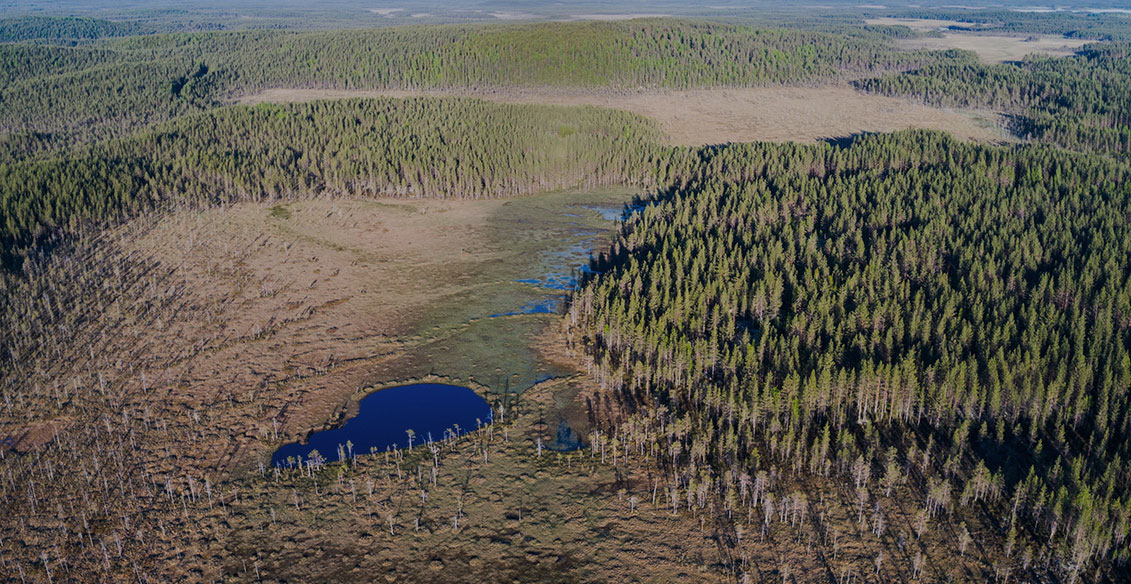 Turvetuotantoalueiden ennallistaminen