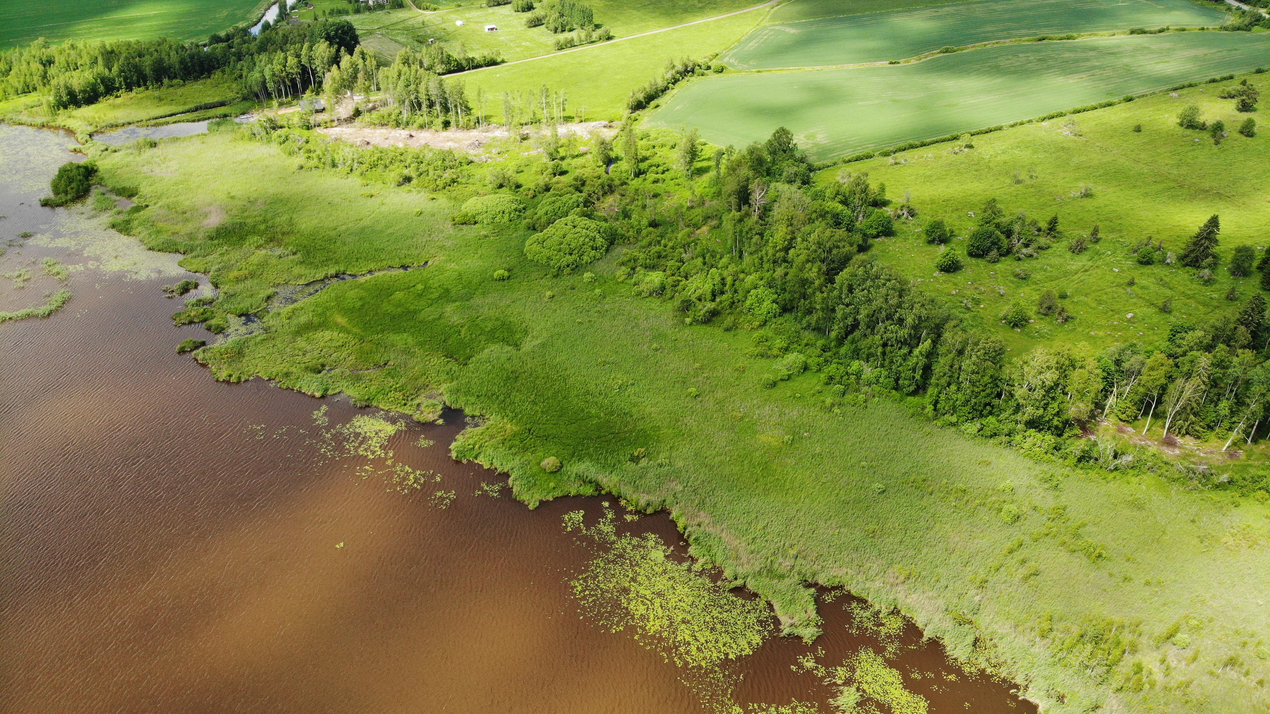 Kosteikot apuna tulvapiikkien torjunnassa