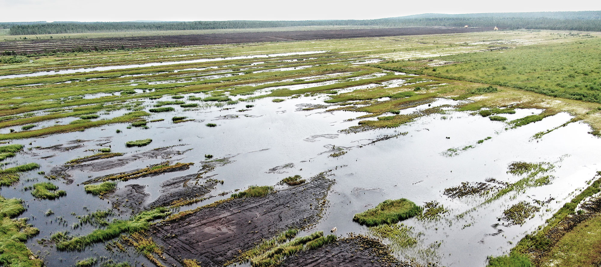 Keräys Leväjänkän kunnostamiseen avattu!